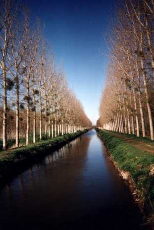 Le canal de la Dive