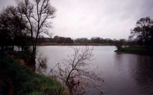 Le Thouet, rivi&egrave;re de plaine. Au niveau de la confluence avec la Loire.