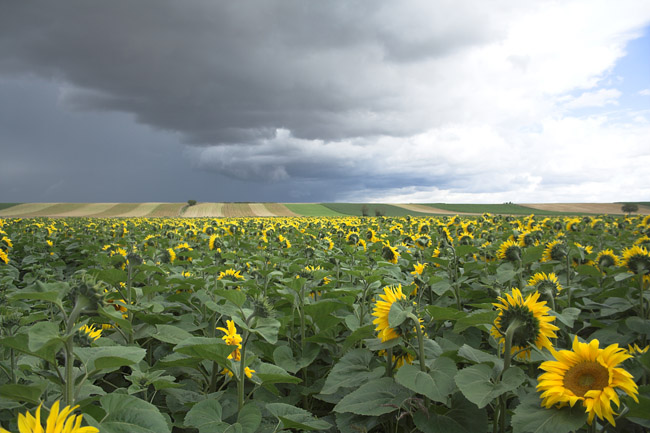 thunderstorm in Anjou - July 2007 - Lernay