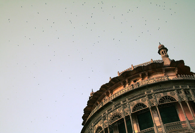 Crows above Ramnagar Fort - April 2007 - Benares