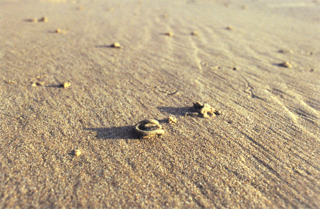 Sand - march 2002 - calais