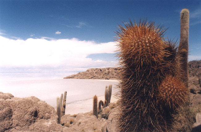 Salar Uyuni - 2001 - Bolivia