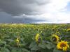 Orage en Anjou - Juillet 2007 - Lernay