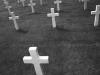 American cemetery - Omaha Beach - Normandie