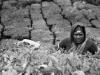 Tea Picker - March 2006 - Munnar